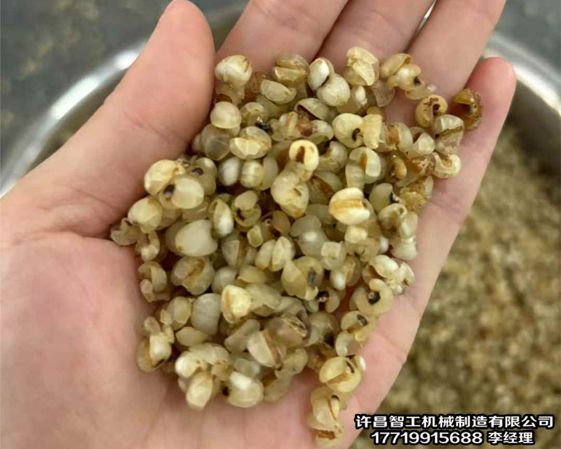 流水線炒貨機(jī)