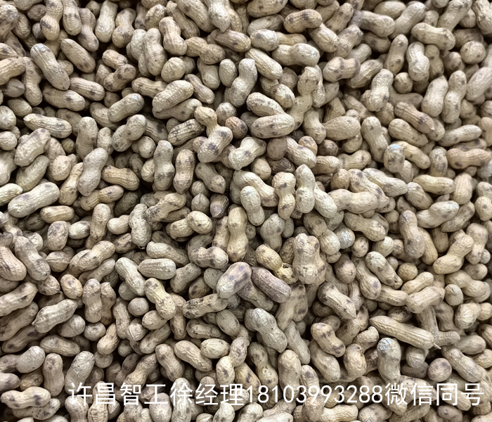 電磁炒花生果機(jī)