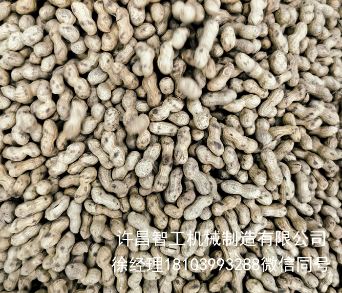 電磁炒貨機(jī)