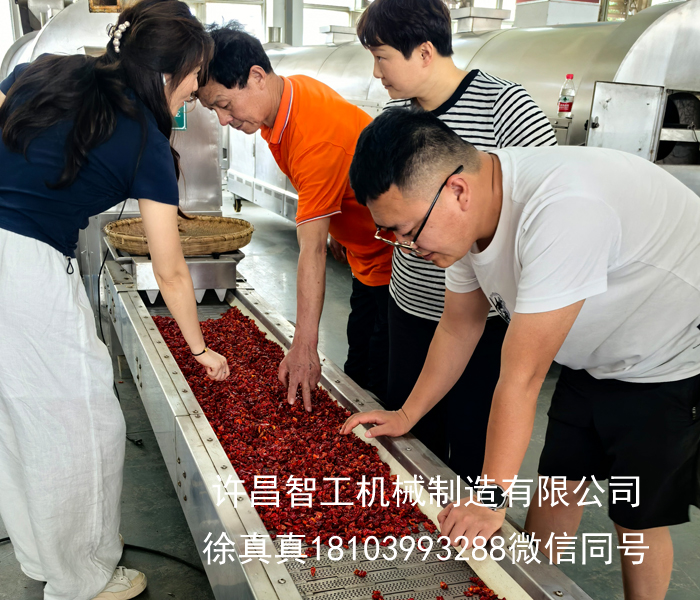 真實(shí)客戶上門試機(jī)｜全自動辣椒翻炒機(jī)實(shí)力見證